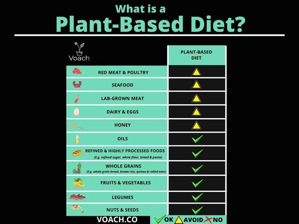 Plant Based Diet Chart (1).jpg