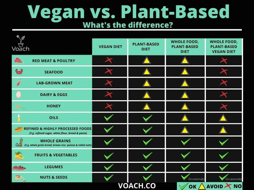 Vegan Vs Plant Based Diet What s The Difference 2021 Voach Healthy Vegan Recipe Blog