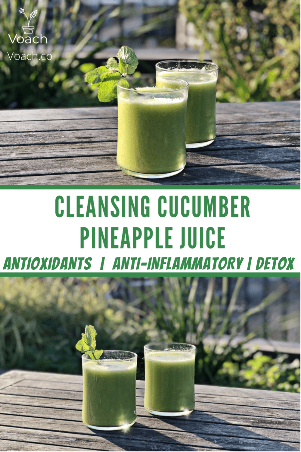 Vegan Detox Juice