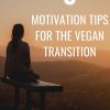 how-to-stay-motivated-in-veganuary